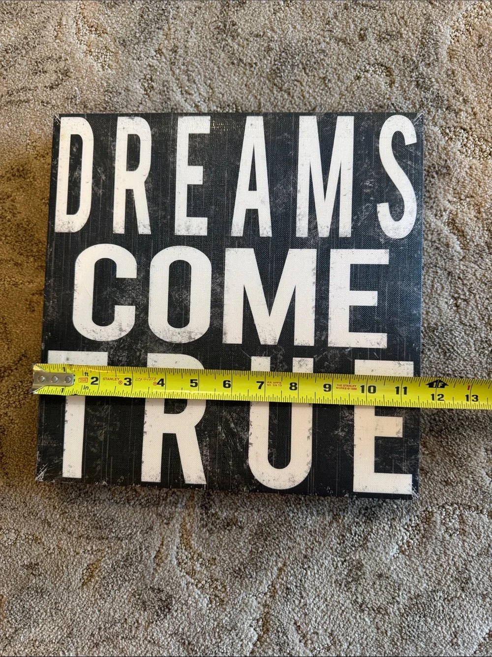 Black & White 'Dreams Come True' Wall Topography Canvas Art